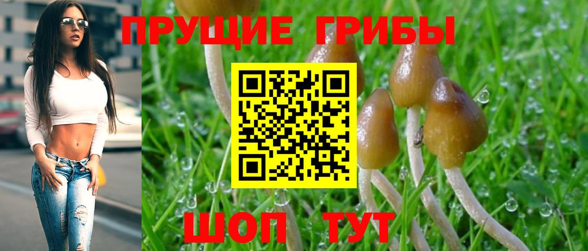 Псилоцибиновые грибы мицелий Обь