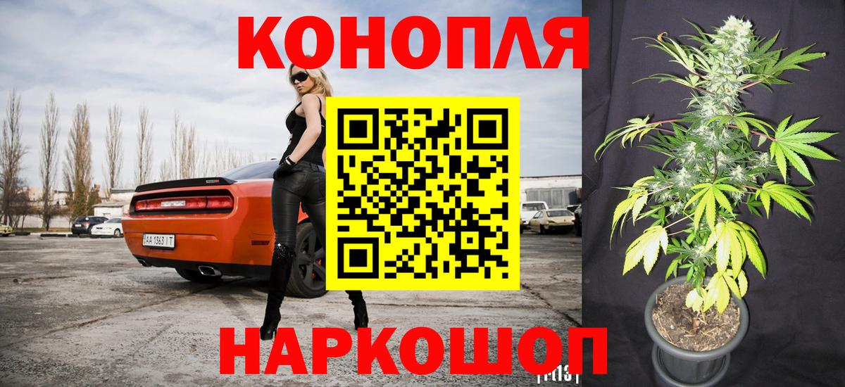 Бошки марихуана White Widow Обь